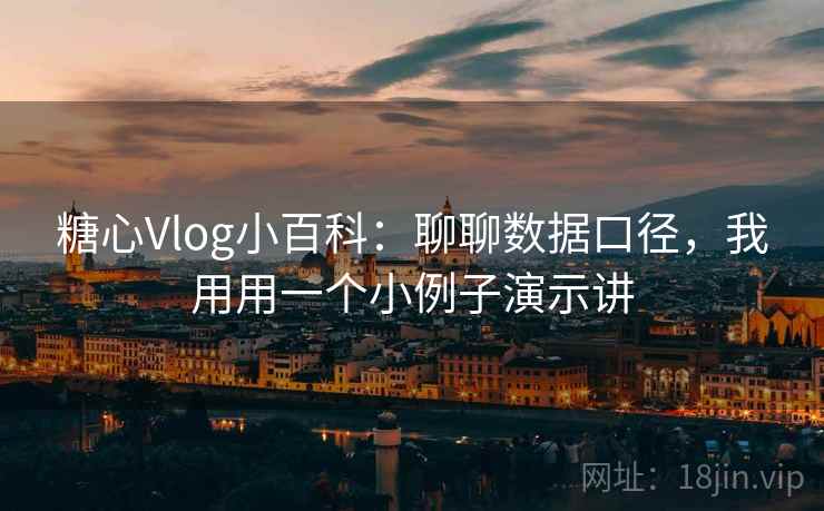 糖心Vlog小百科：聊聊数据口径，我用用一个小例子演示讲
